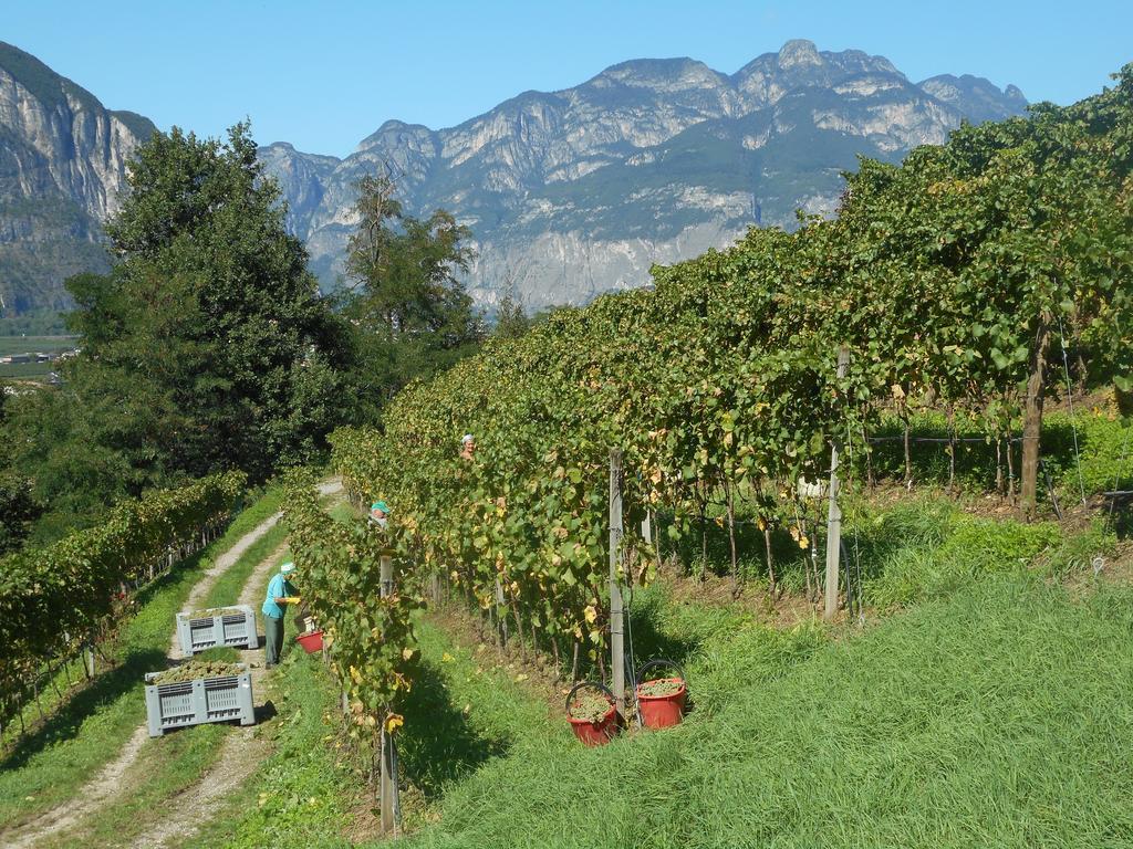 Agriturismo Maso Rover Villa Lavis Esterno foto