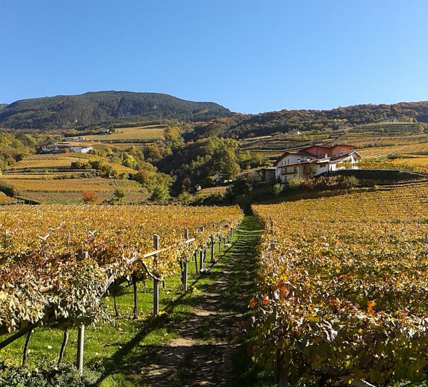 Agriturismo Maso Rover Villa Lavis Esterno foto